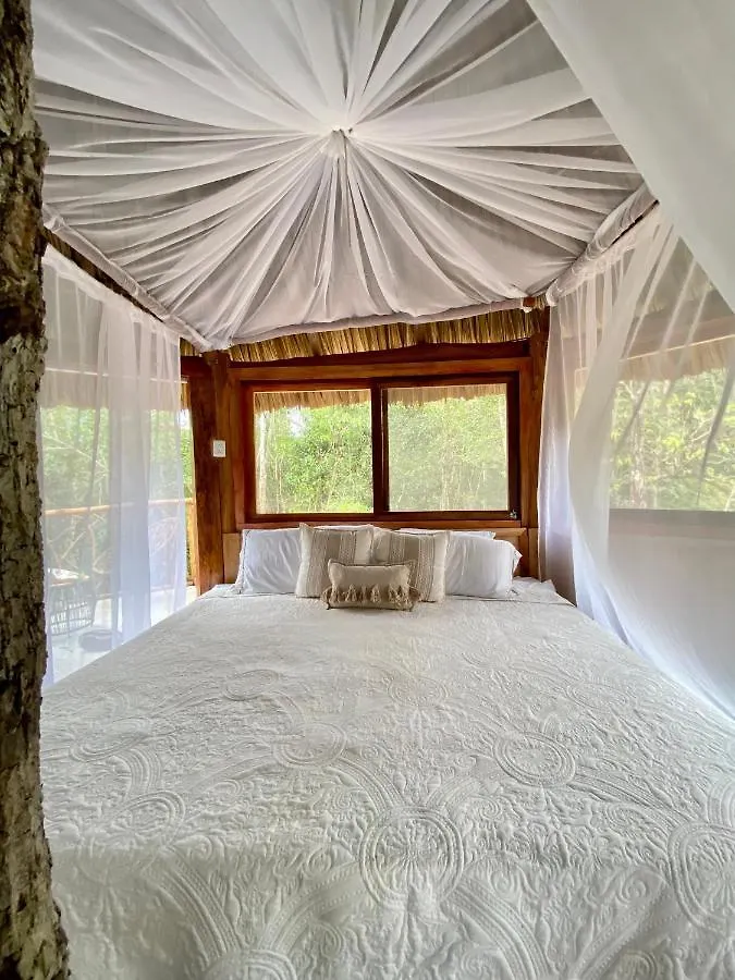 Nuscaa Boutique Tree House & Spa Hotel Puerto Morelos