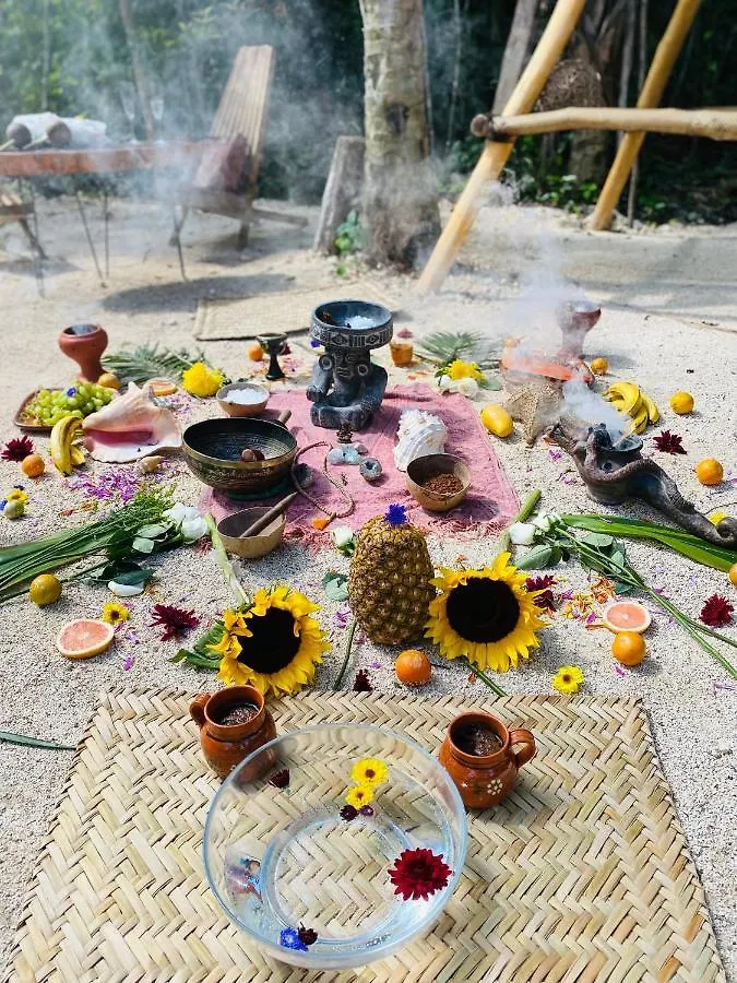 Nuscaa Boutique Tree House & Spa Hotel Puerto Morelos